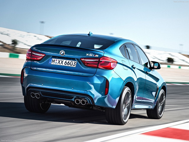 bmw x6 m pic #140347