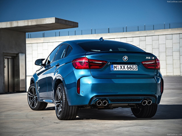 bmw x6 m pic #140349