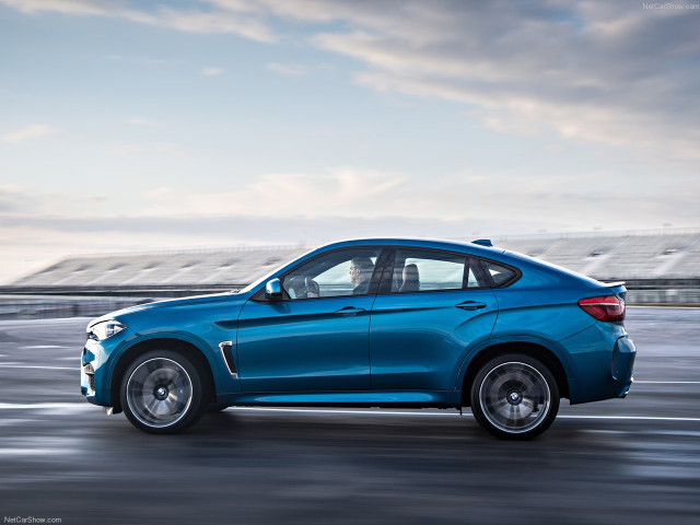 bmw x6 m pic #140367