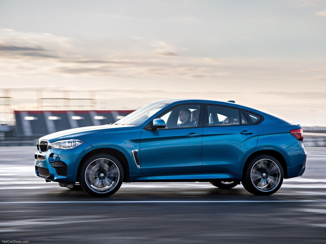 bmw x6 m pic #140373