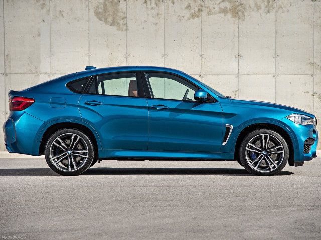 bmw x6 m pic #140385