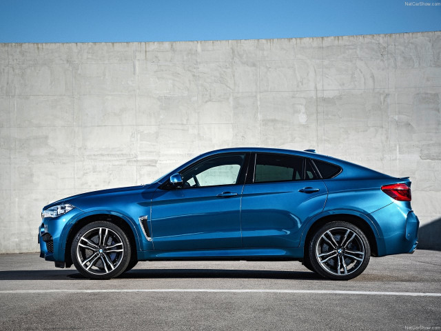 bmw x6 m pic #140390