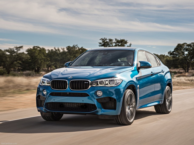 bmw x6 m pic #140392