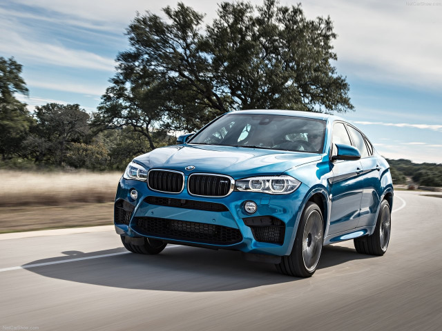 bmw x6 m pic #140396