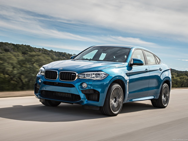 bmw x6 m pic #140398