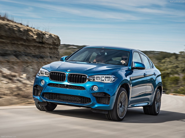 bmw x6 m pic #140400