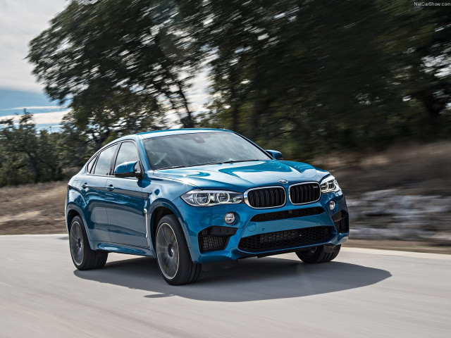 bmw x6 m pic #140402