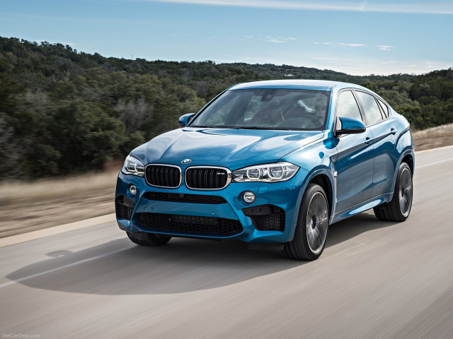 bmw x6 m pic #140406