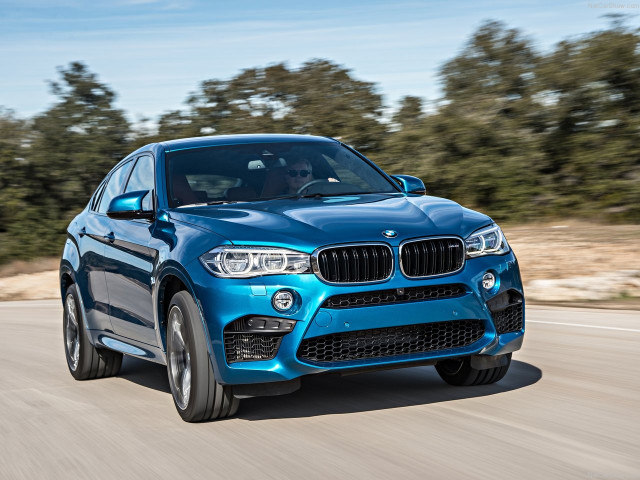 bmw x6 m pic #140408