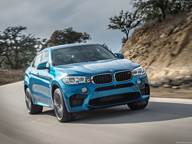 bmw x6 m pic #140410