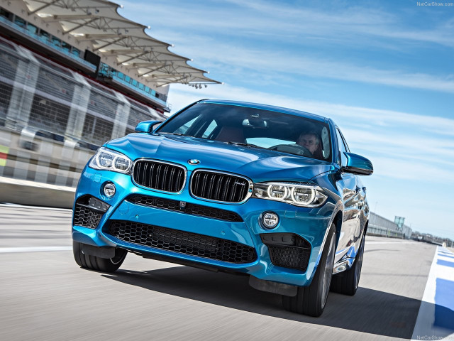 bmw x6 m pic #140416