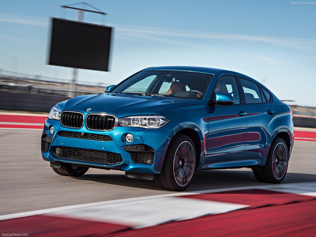 bmw x6 m pic #140418