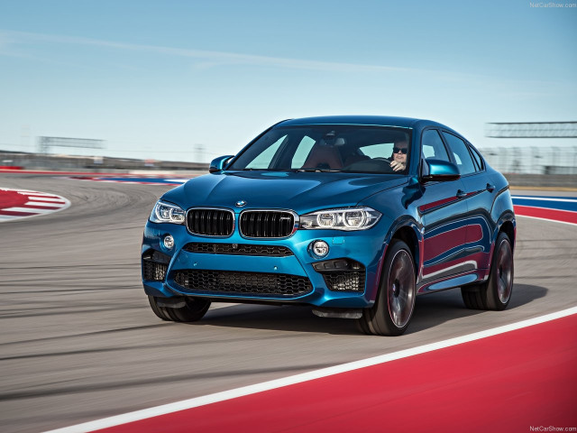 bmw x6 m pic #140419