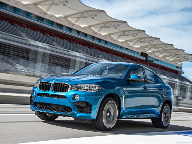 bmw x6 m pic #140426