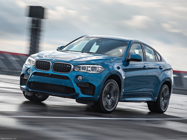 bmw x6 m pic #140427