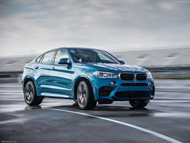 bmw x6 m pic #140428