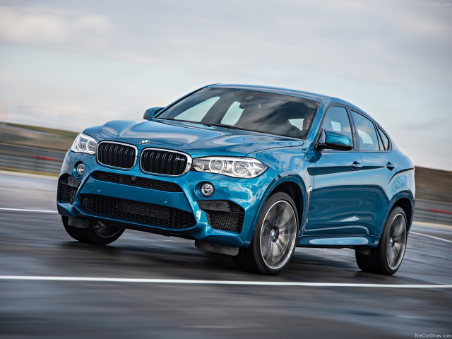 bmw x6 m pic #140429