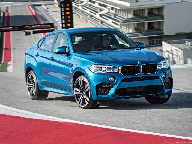 bmw x6 m pic #140434