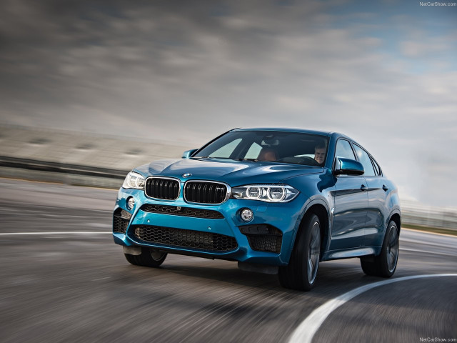 bmw x6 m pic #140439