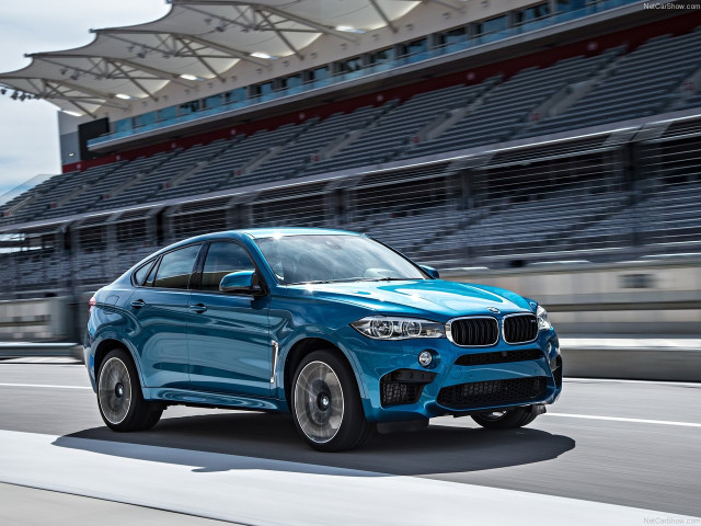 bmw x6 m pic #140441