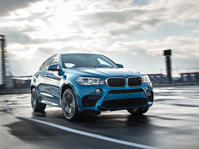 bmw x6 m pic #140444