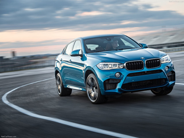 bmw x6 m pic #140445