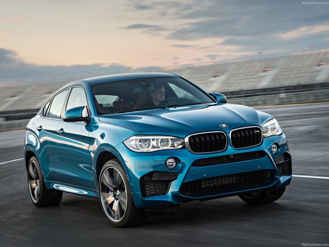 bmw x6 m pic #140446