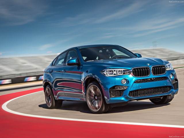 bmw x6 m pic #140447