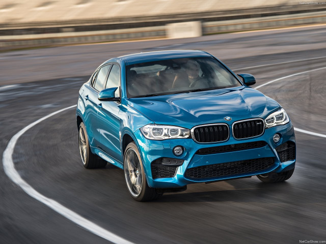 bmw x6 m pic #140448