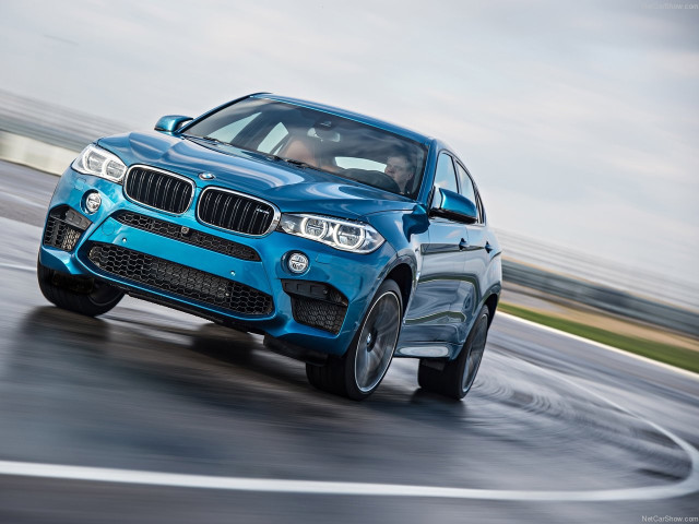 bmw x6 m pic #140449