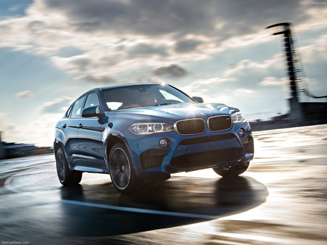 bmw x6 m pic #140450