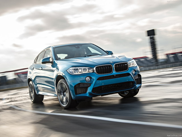 bmw x6 m pic #140451