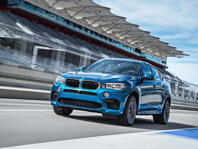 bmw x6 m pic #140452