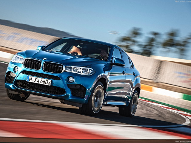 bmw x6 m pic #140454