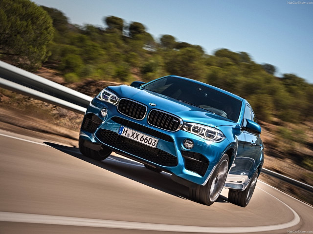 bmw x6 m pic #140455