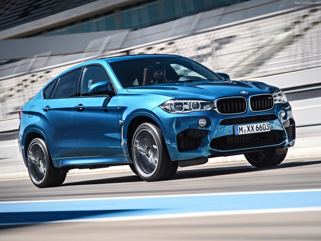 bmw x6 m pic #140456