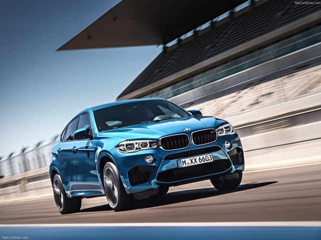 bmw x6 m pic #140457