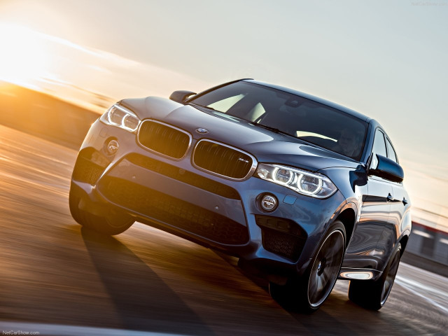 bmw x6 m pic #140458