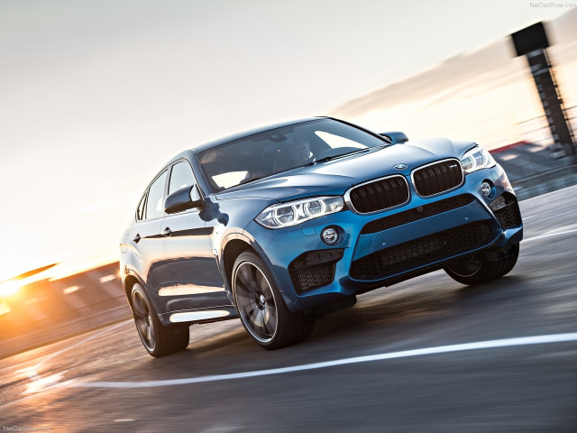 bmw x6 m pic #140459