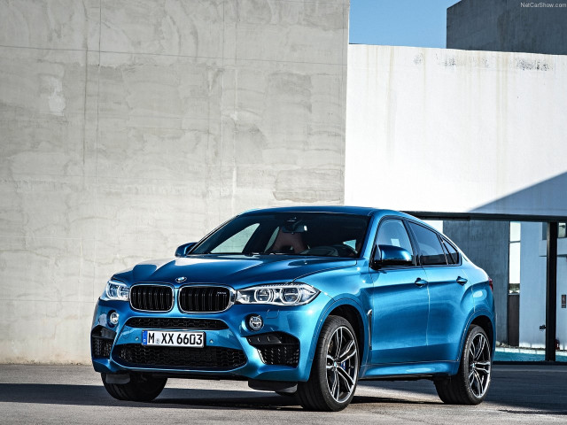 bmw x6 m pic #140462