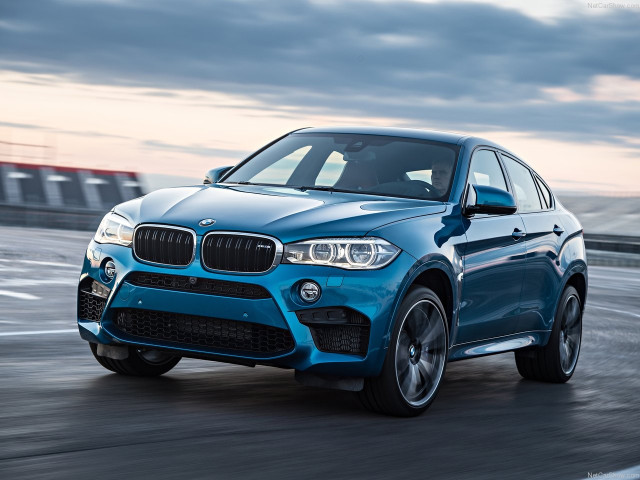 bmw x6 m pic #140463