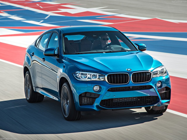 bmw x6 m pic #140464