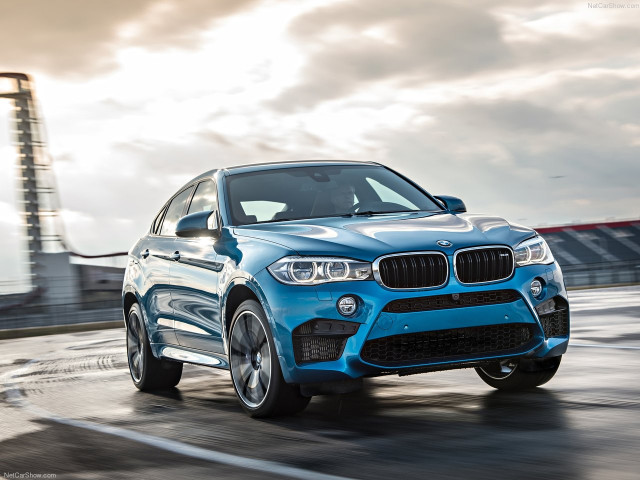 bmw x6 m pic #140465