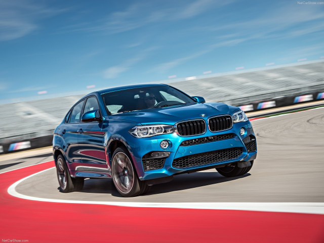 bmw x6 m pic #140466