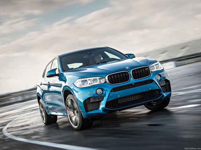 bmw x6 m pic #140467