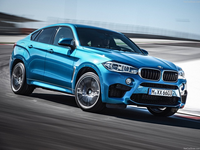 bmw x6 m pic #140468