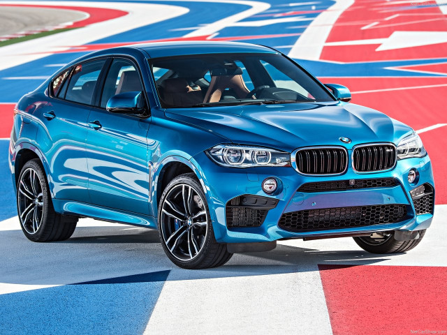 bmw x6 m pic #140472