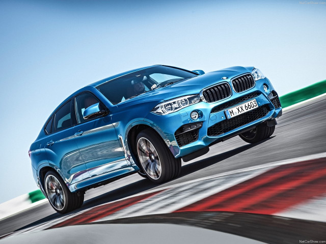 bmw x6 m pic #140474