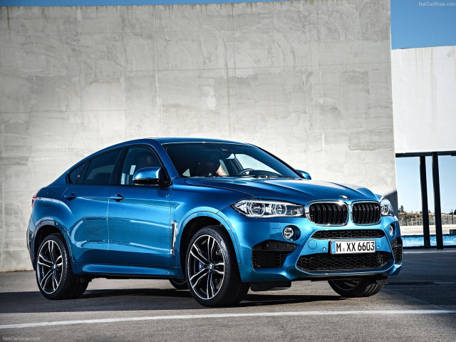 bmw x6 m pic #140475