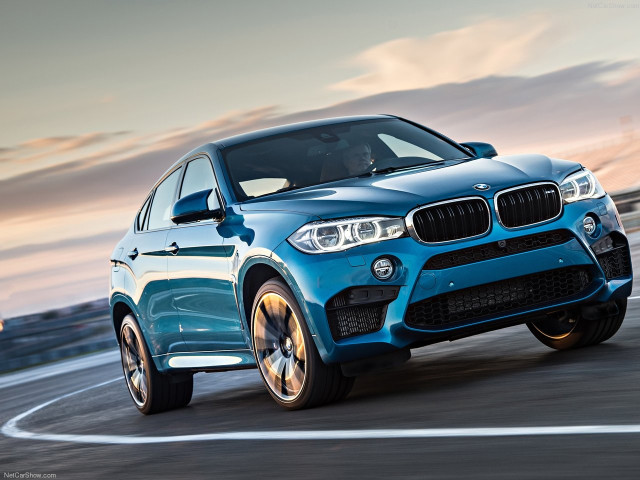 bmw x6 m pic #140476